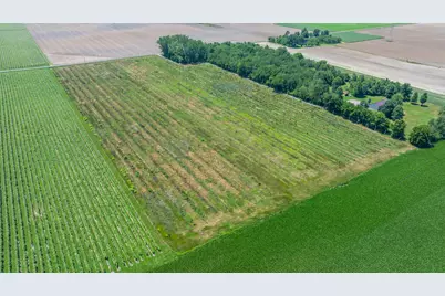 1129 Marrs Road, Baroda, MI 49101 - Photo 5