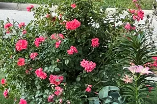 2027 Bourdon St, Muskegon, MI 49441 - Photo 49