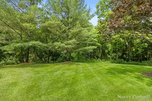 9171 Conservancy Dr NE, Ada, MI 49301 - Photo 61
