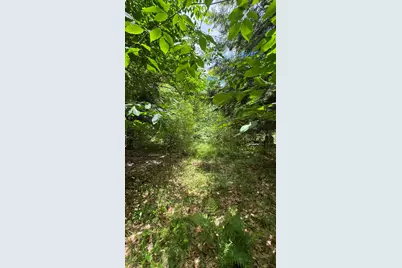 V/L S 35 Road, Cadillac, MI 49601 - Photo 7