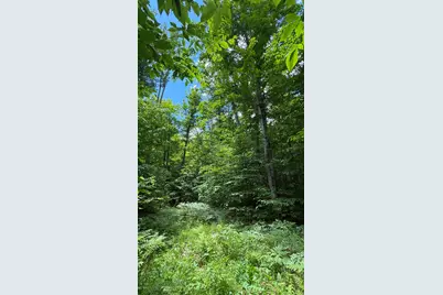 V/L S 35 Road, Cadillac, MI 49601 - Photo 5