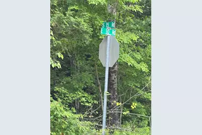 V/L S 35 Road, Cadillac, MI 49601 - Photo 15