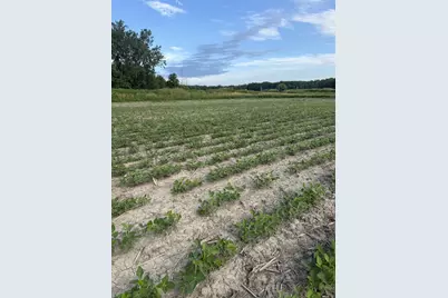 Houlihan Road, Saginaw, MI 48601 - Photo 19
