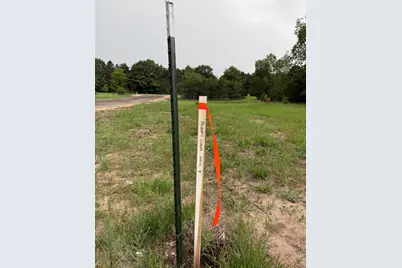 Sadie Ln #Parcel 'F', Bear Lake, MI 49614 - Photo 3