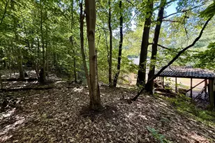 3851 21st St, Dorr, MI 49323 - Photo 17