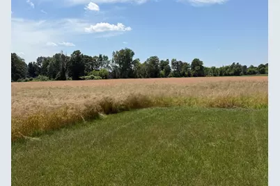 7565 Ormes Road, Vassar, MI 48768 - Photo 23
