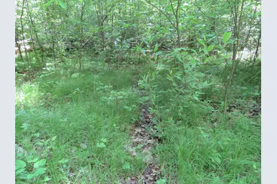 11000 N Vickeryville Road, Edmore, MI 48829 - Photo 31