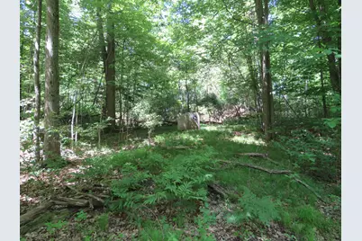 11000 N Vickeryville Road, Edmore, MI 48829 - Photo 7