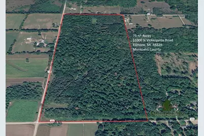 11000 N Vickeryville Road, Edmore, MI 48829 - Photo 1