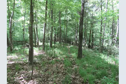 11000 N Vickeryville Road, Edmore, MI 48829 - Photo 15