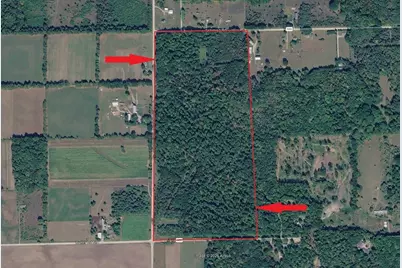 11000 N Vickeryville Road, Edmore, MI 48829 - Photo 61