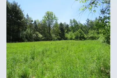 11000 N Vickeryville Road, Edmore, MI 48829 - Photo 9