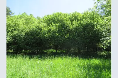 11000 N Vickeryville Road, Edmore, MI 48829 - Photo 27