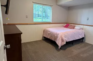 10709 William Ct, Greenville, MI 48838 - Photo 17