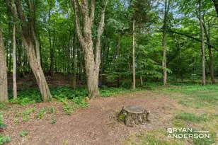 3324 Whitburn Ct SE, Ada, MI 49301 - Photo 113
