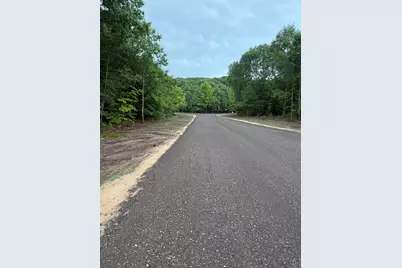 Sadie Ln #Parcel ''E'', Bear Lake, MI 49614 - Photo 5