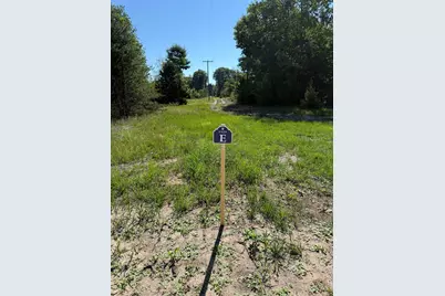 Sadie Ln #Parcel ''E'', Bear Lake, MI 49614 - Photo 3