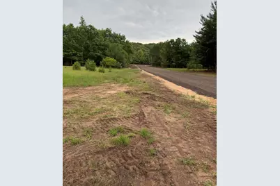 Sadie Ln #Parcel 'G', Bear Lake, MI 49614 - Photo 5