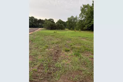 Sadie Ln #Parcel 'C', Bear Lake, MI 49614 - Photo 5