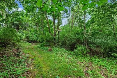 5772 N 31st Street #Parcel B, Richland, MI 49083 - Photo 7
