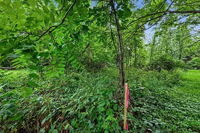 5772 N 31st Street #Parcel B, Richland, MI 49083 - Photo 3