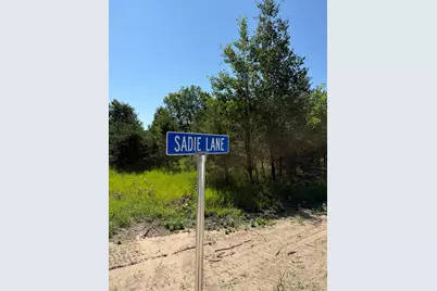 Sadie Ln #Parcel 'H', Bear Lake, MI 49614 - Photo 7