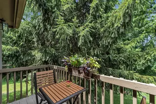24491 Forest Dr, South Lyon, MI 48178 - Photo 31