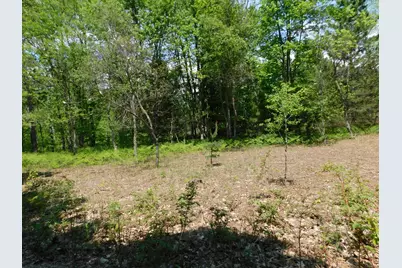 14200 Plagany Road, Bear Lake, MI 49614 - Photo 29