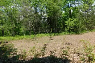 14200 Plagany Rd, Bear Lake, MI 49614 - Photo 29