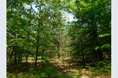 14200 Plagany Road, Bear Lake, MI 49614 - Photo 23