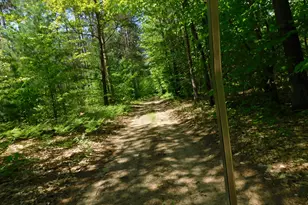 14200 Plagany Rd, Bear Lake, MI 49614 - Photo 21