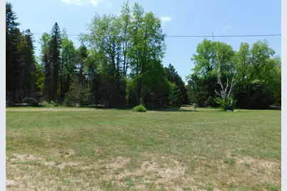 14200 Plagany Road, Bear Lake, MI 49614 - Photo 19