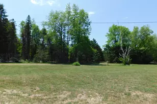 14200 Plagany Rd, Bear Lake, MI 49614 - Photo 19