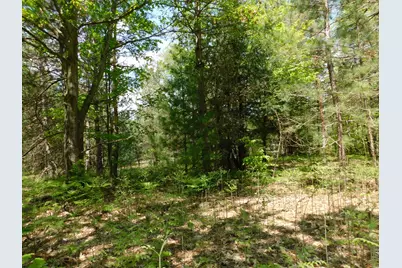 14200 Plagany Road, Bear Lake, MI 49614 - Photo 27