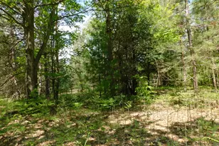 14200 Plagany Rd, Bear Lake, MI 49614 - Photo 27