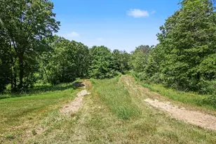 13625 Stacey Road NE, Greenville, MI 48838 - Photo 33