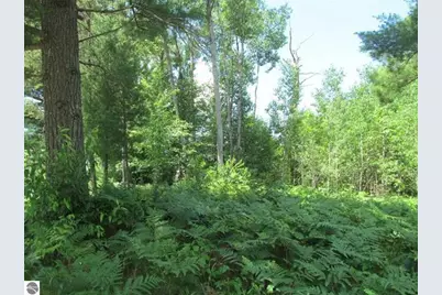 63 White Pine Drive, Cadillac, MI 49601 - Photo 1
