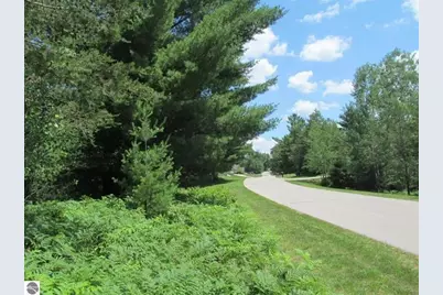 63 White Pine Drive, Cadillac, MI 49601 - Photo 3