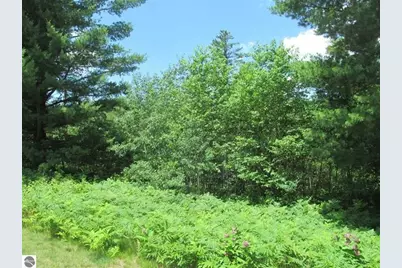 63 White Pine Drive, Cadillac, MI 49601 - Photo 5