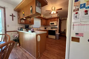 247 W North St, Hastings, MI 49058 - Photo 11