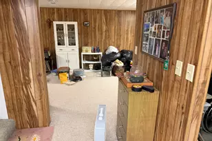 247 W North St, Hastings, MI 49058 - Photo 31
