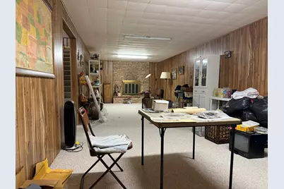 247 W North Street, Hastings, MI 49058 - Photo 35