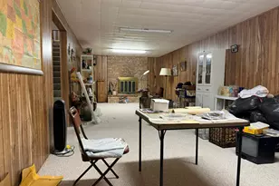 247 W North St, Hastings, MI 49058 - Photo 35
