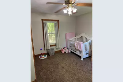 9462 E Colby Road, Crystal, MI 48818 - Photo 33