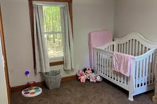 9462 E Colby Rd, Crystal, MI 48818 - Photo 33