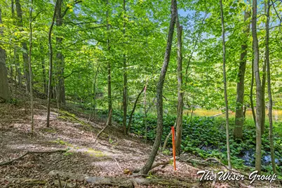 Parcel 2 Rector Street NE, Rockford, MI 49341 - Photo 21