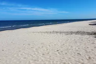 15972 Prusa Rd, Union Pier, MI 49129 - Photo 27