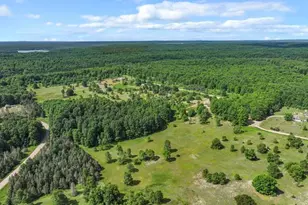 4622 Vista Valley Trail, Mesick, MI 49668 - Photo 47