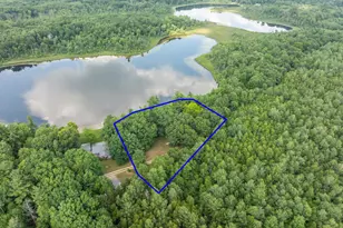 730 W Evergreen Rd, Sidney, MI 48885 - Photo 35