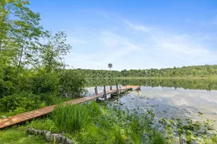 730 W Evergreen Rd, Sidney, MI 48885 - Photo 43